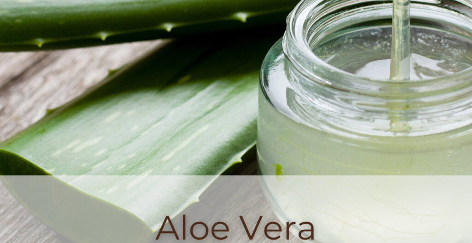 Les 5 secrets de l'Aloe Vera Lily of the Desert